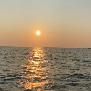 欧美做受❌❌❌高潮
